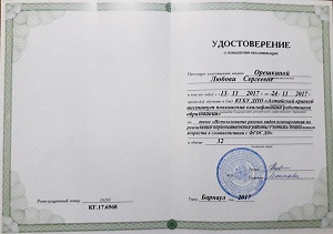 свидетельство 2