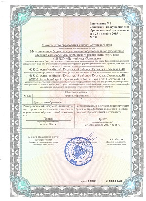 лицензия 001